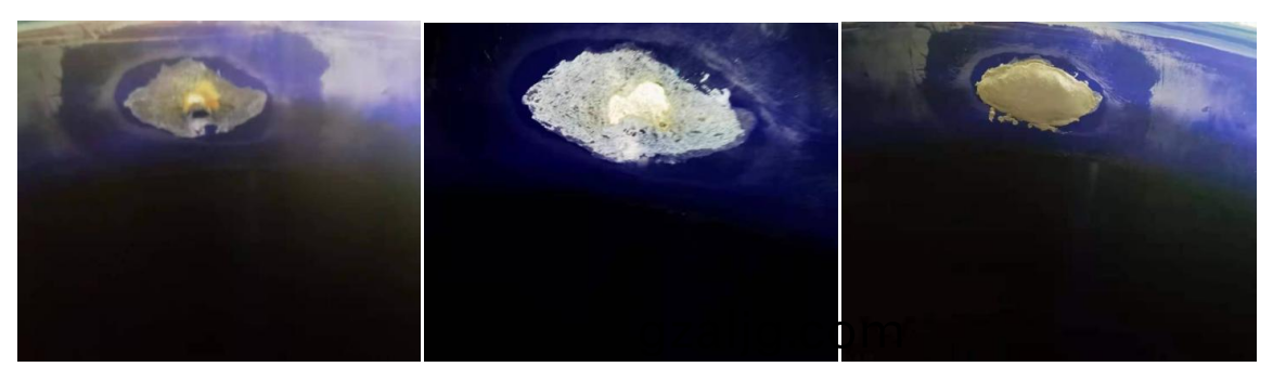 1669778668794149.png 微(wei)信截圖(tu)_20221130112417.png